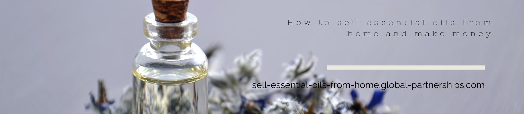 Sell essential oils from home